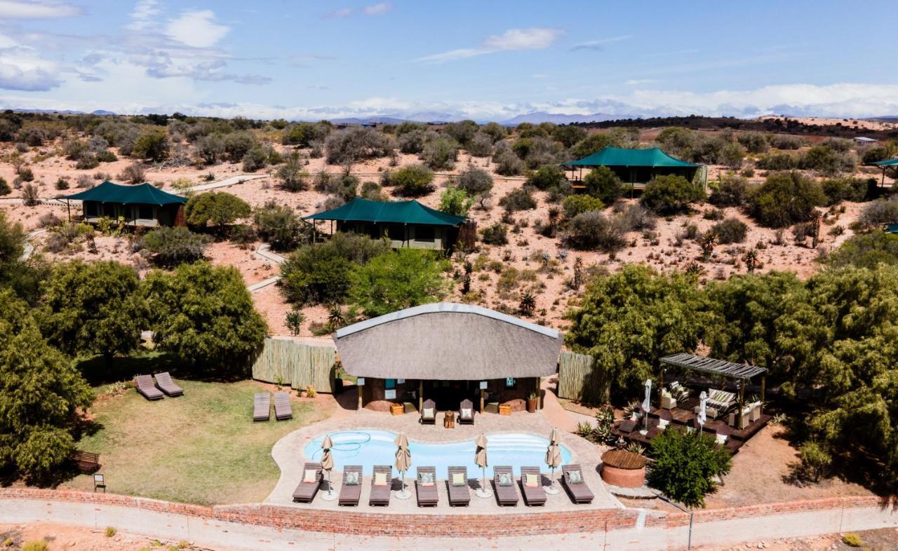 Buffelsdrift Game Lodge Oudtshoorn Exterior photo