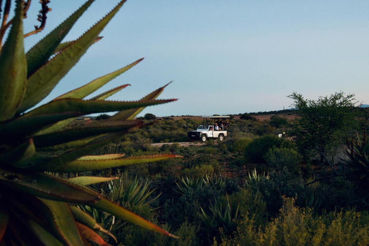 Buffelsdrift Game Lodge Oudtshoorn Exterior photo