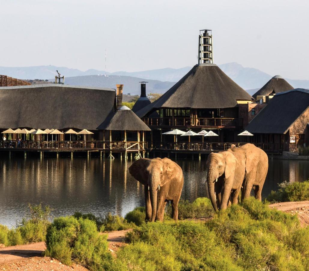 Buffelsdrift Game Lodge Oudtshoorn Exterior photo