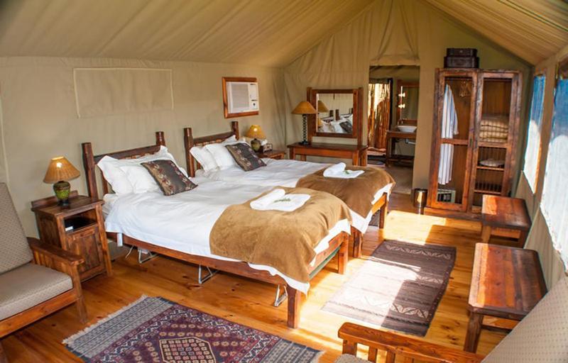 Buffelsdrift Game Lodge Oudtshoorn Room photo