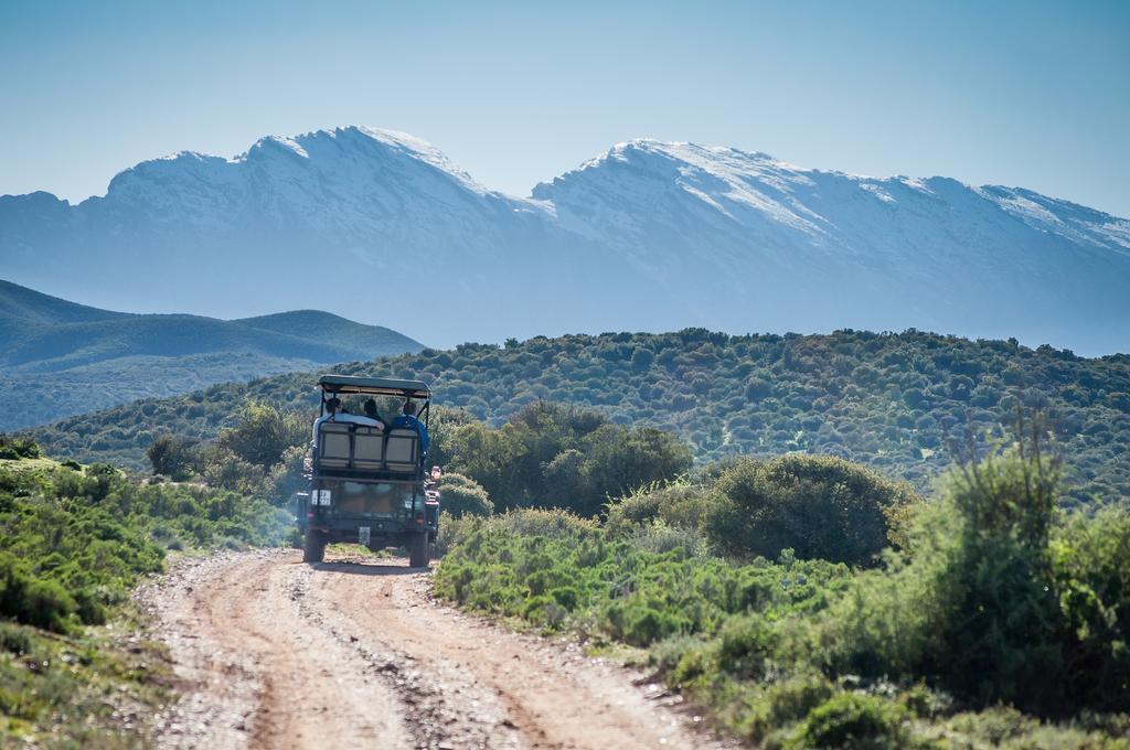 Buffelsdrift Game Lodge Oudtshoorn Exterior photo