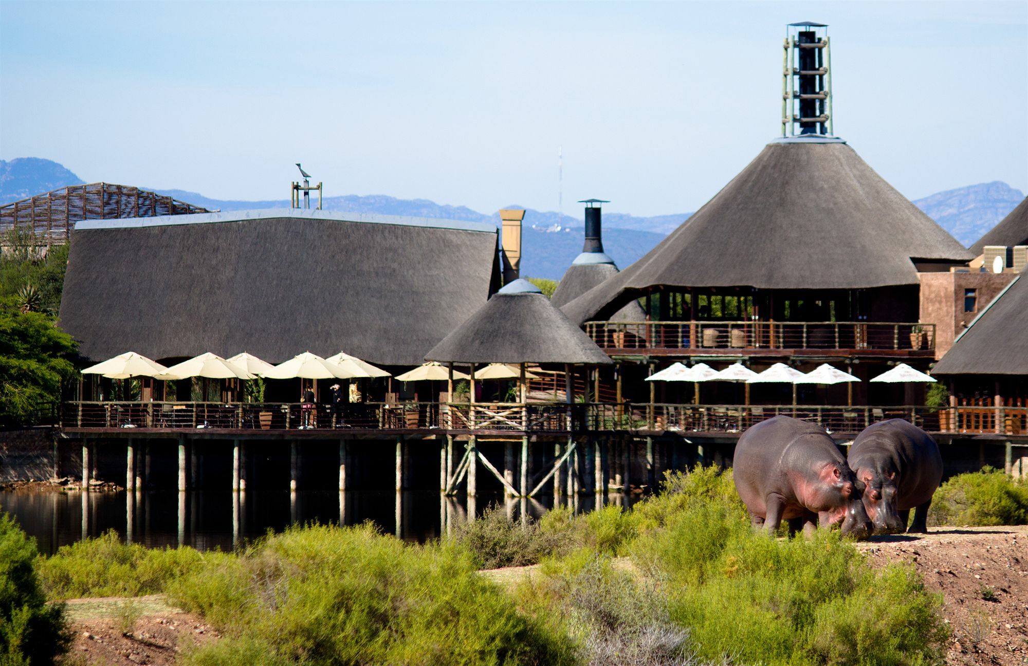 Buffelsdrift Game Lodge Oudtshoorn Exterior photo